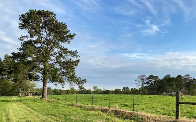 AgSouth Farm Credit, FLCA location